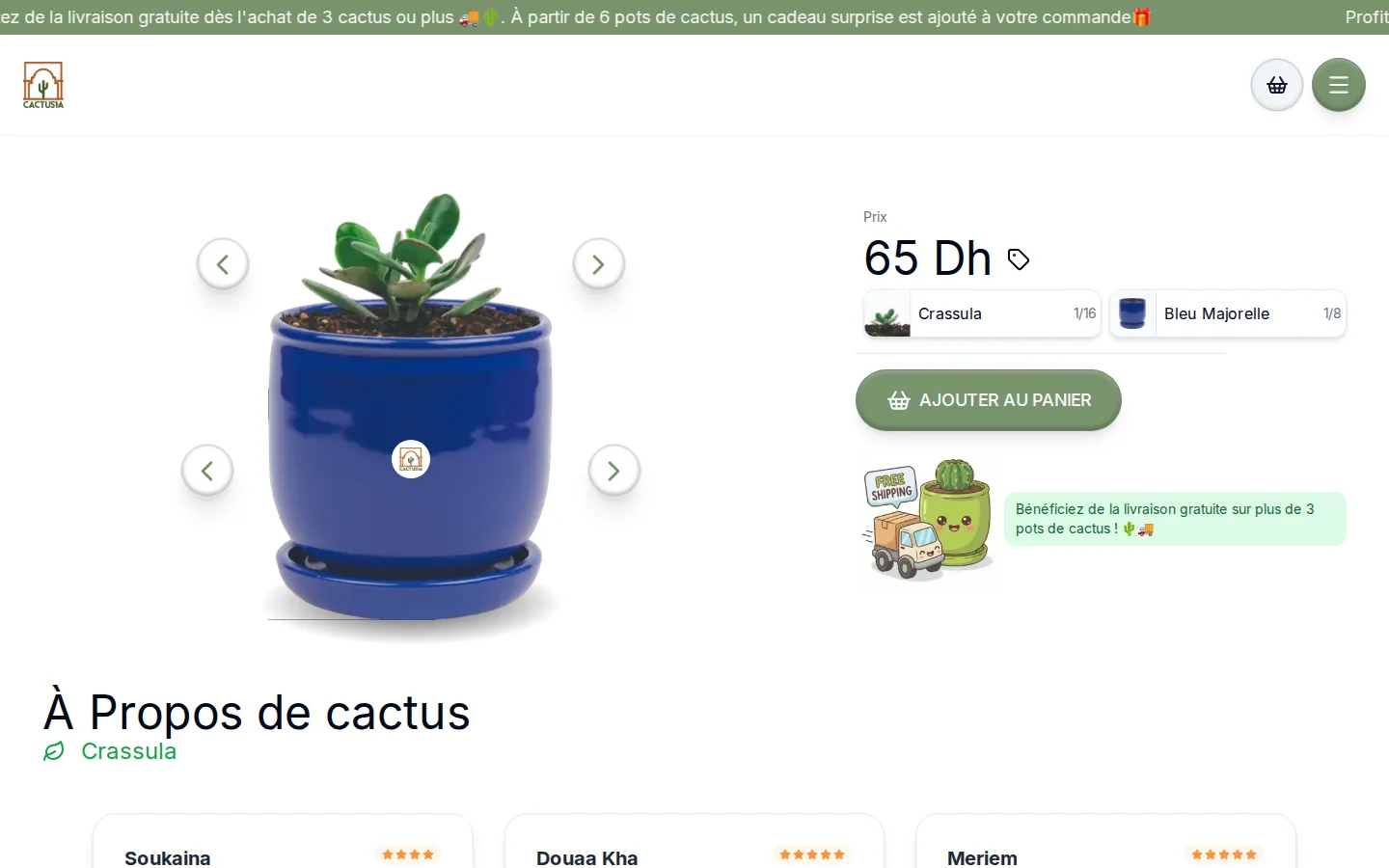 Cactusia, screenshot